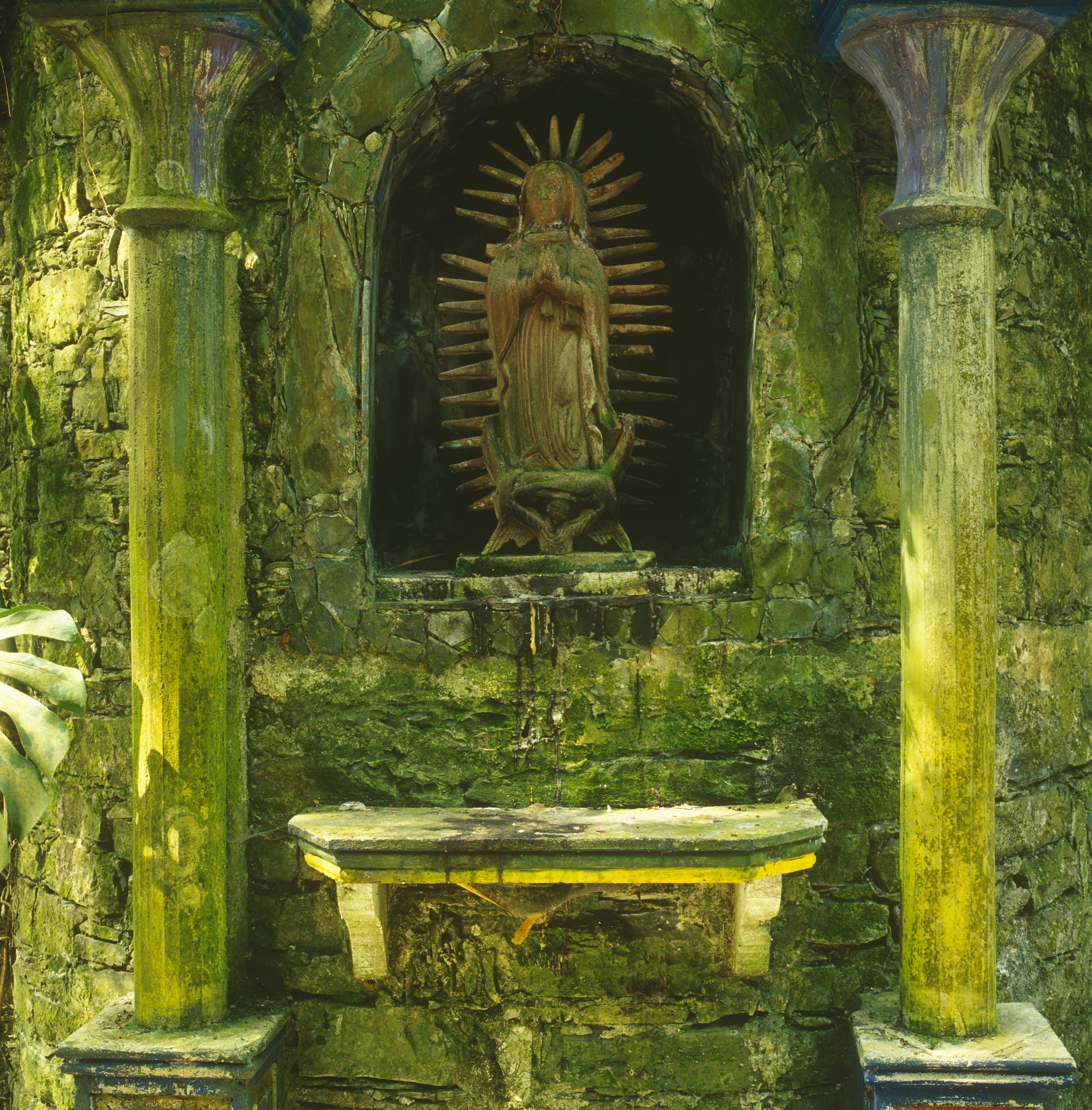 Las Pozas, Mexico.