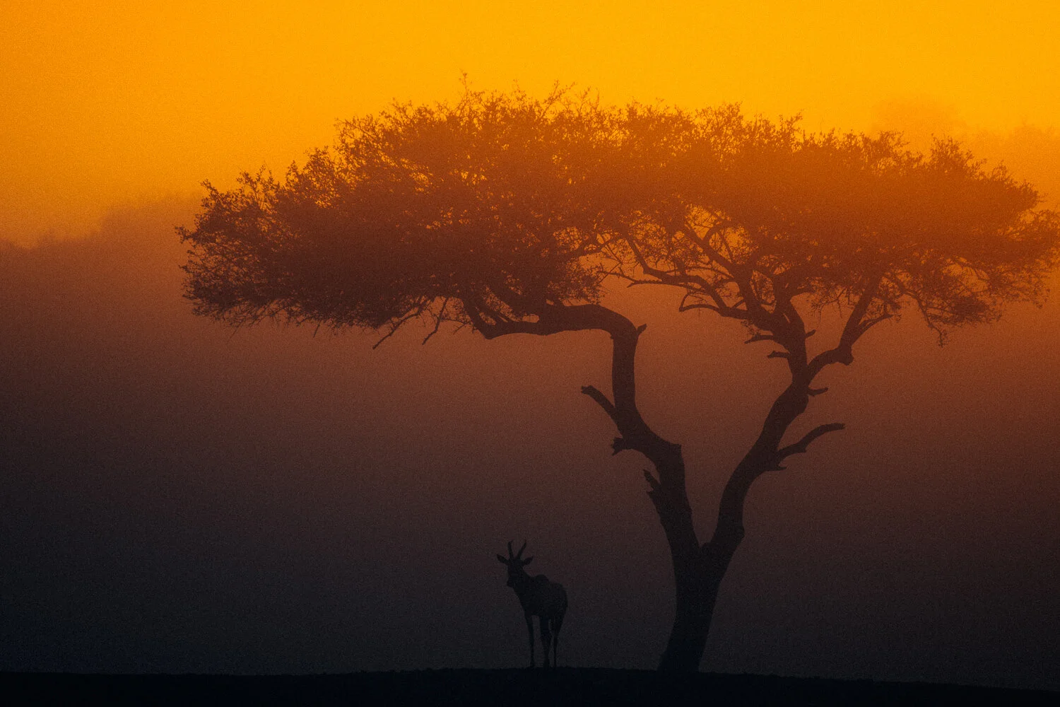 KENYA2019-8513.jpg
