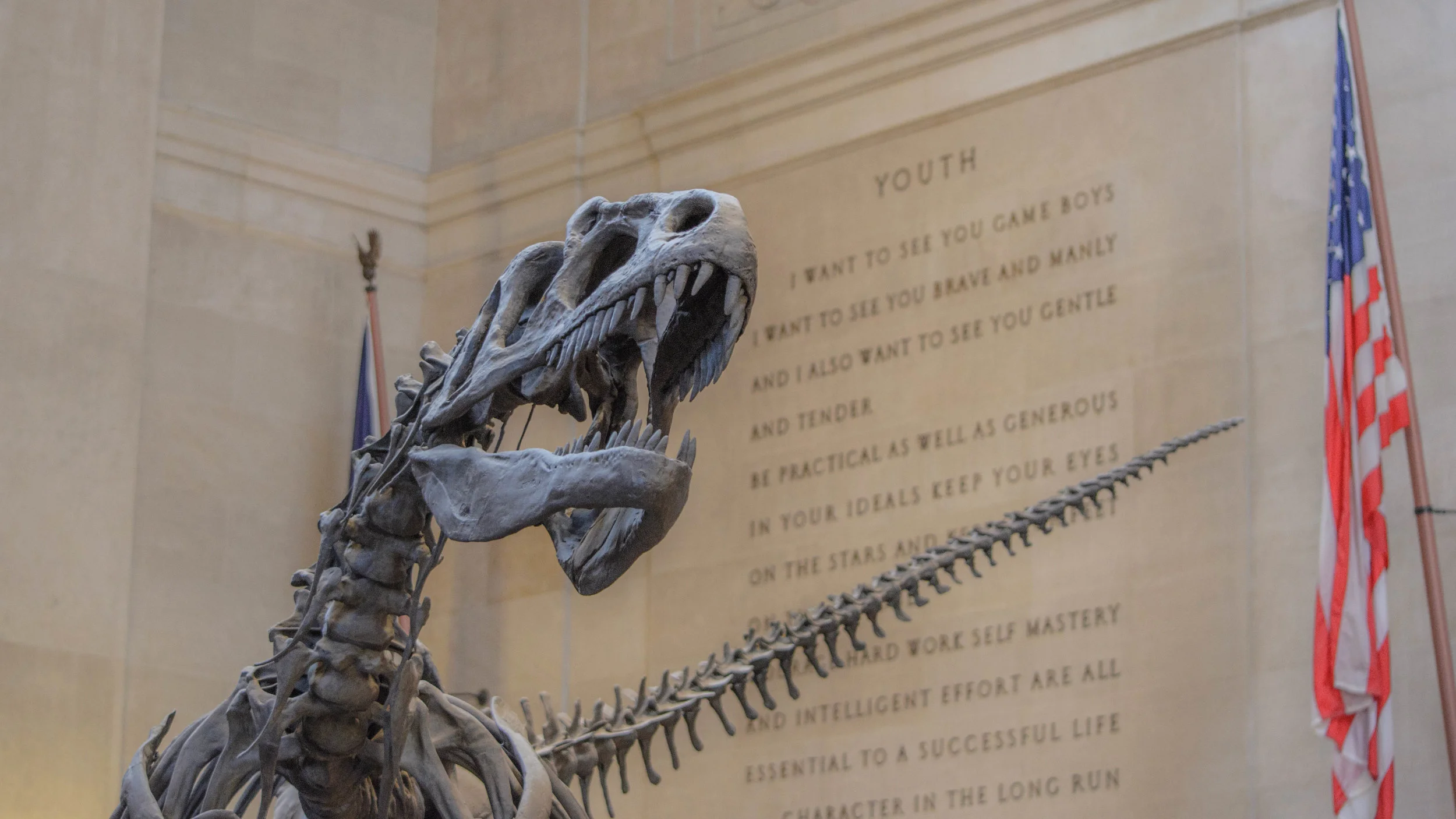 TR's Speech and a Dinosaur