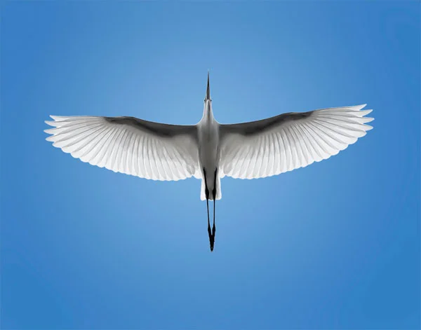 Gold of the Soul Graz, Austria