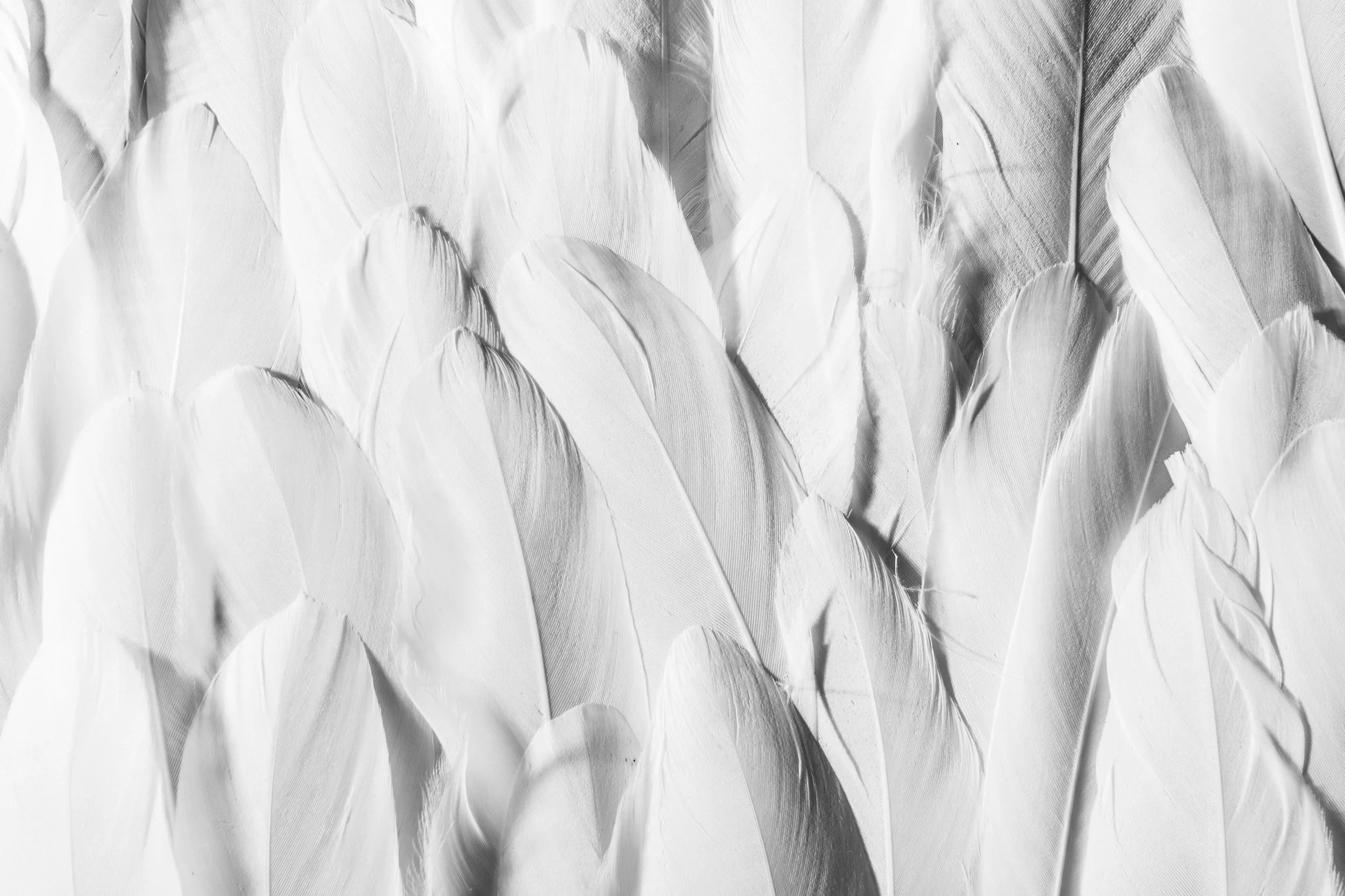 Dreamtime Intentions