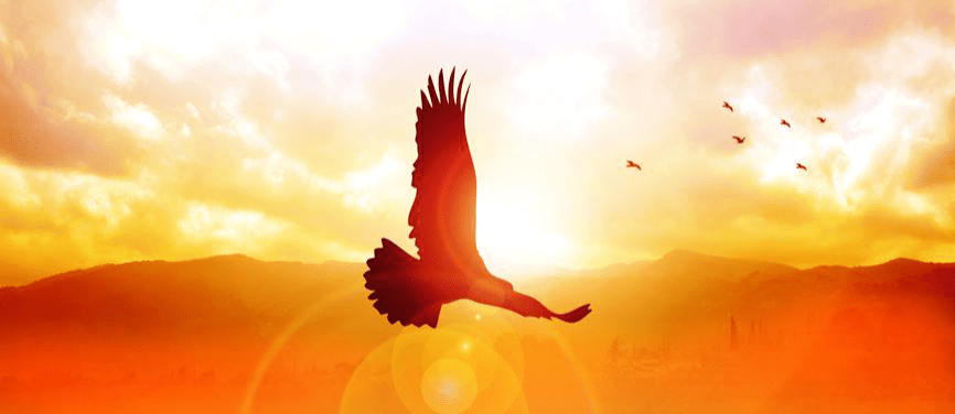 Gold of the Soul - Chicago, USA