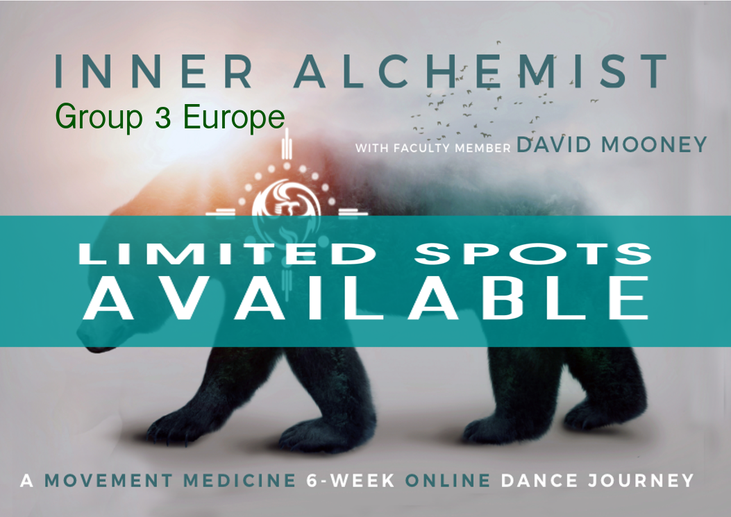 Inner Alchemist Online Europe Group 2