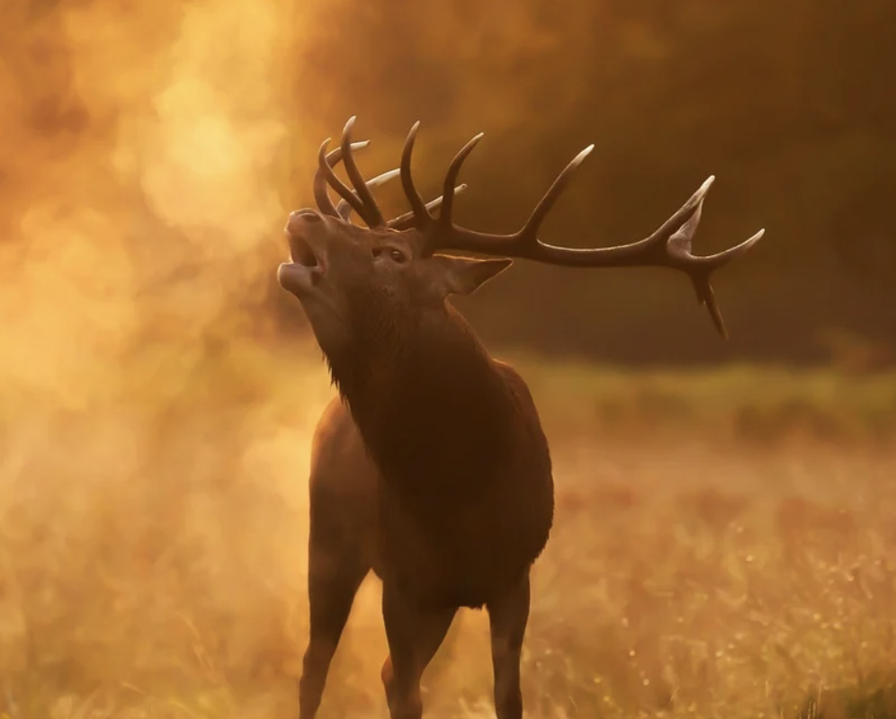 Screenshot 2026-01-29 at 15.23.17.png