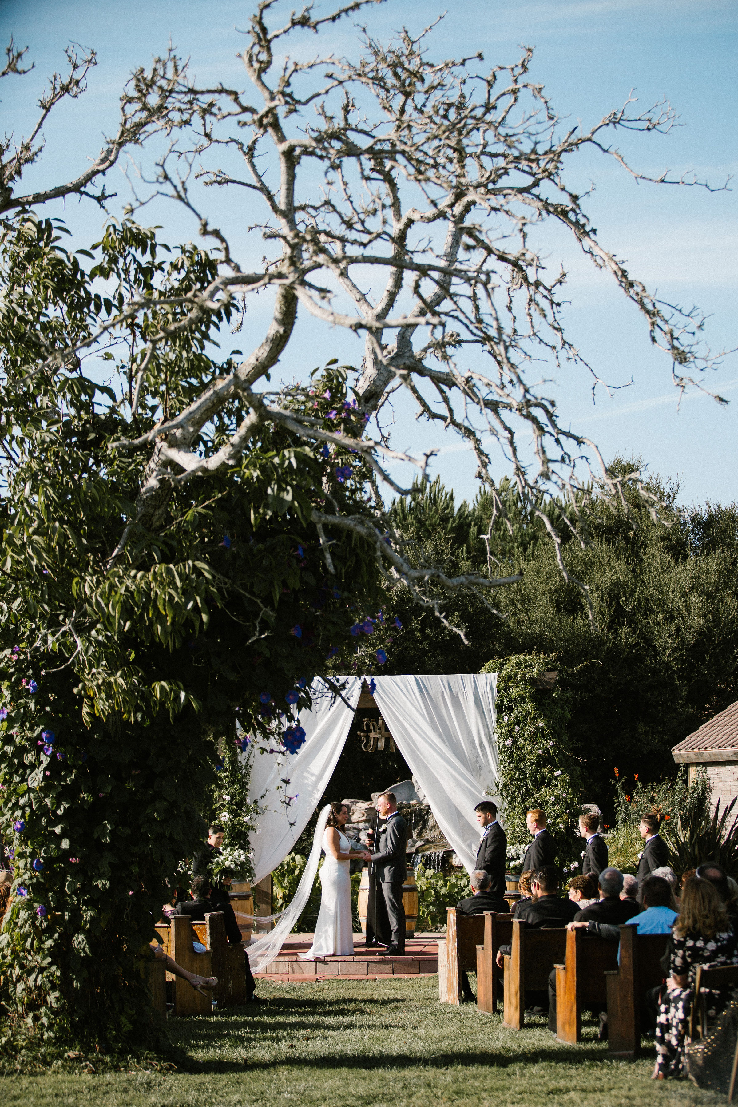 Teri Kramer Photography