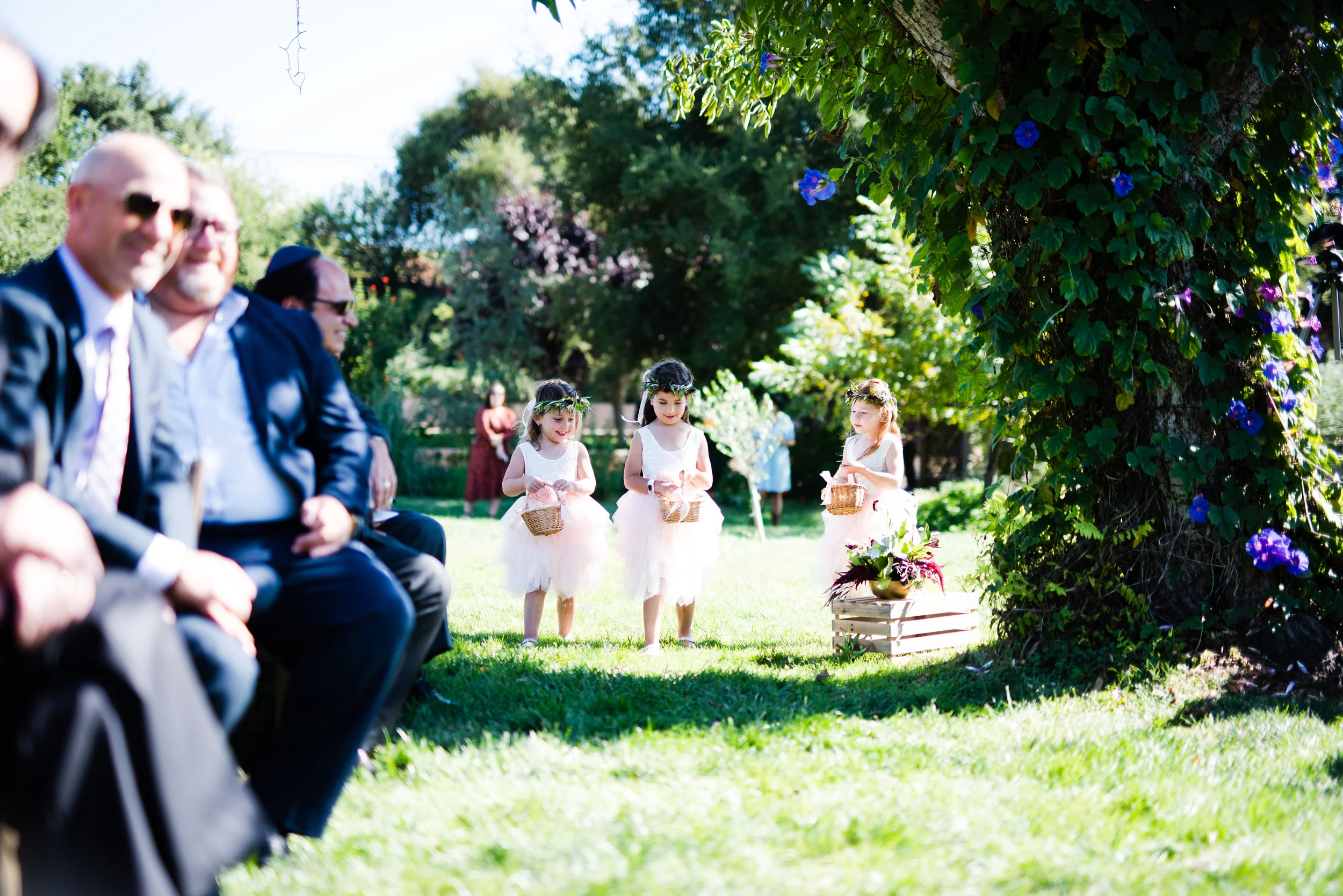 Brittany Taylor Photography