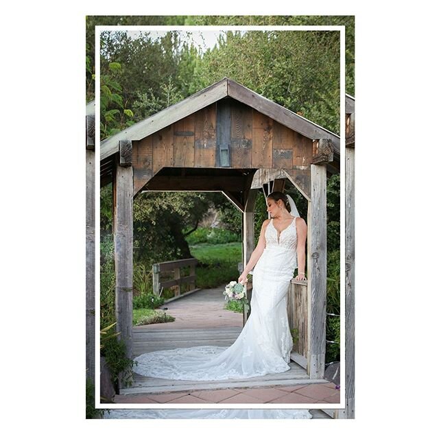 Longing for the day we can have you all here again, but until then can we take a moment to appreciate elegant moments. 
Coordination || @cs_specialevents
Photography || @cornerstone_photography
Floral || Lee Franks Design