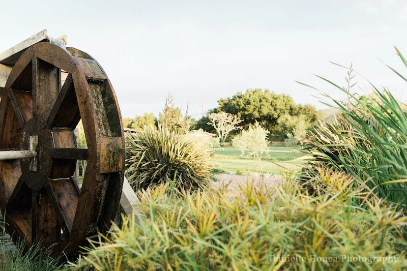 Water Wheel watermarked.jpg