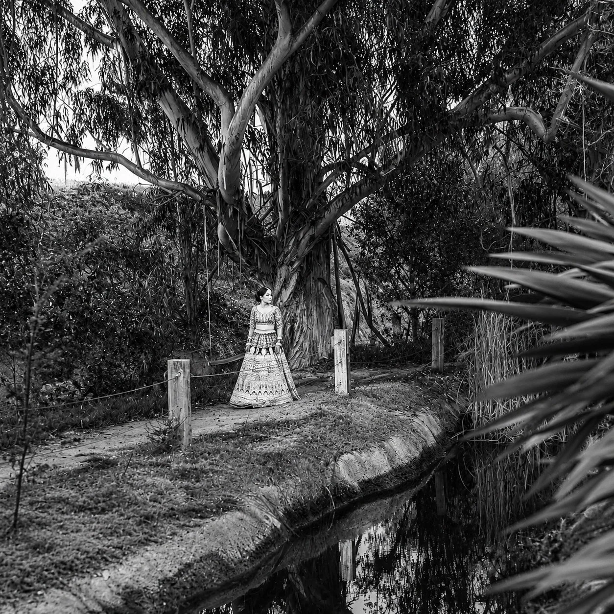 08_estate_creek_black_white.jpg