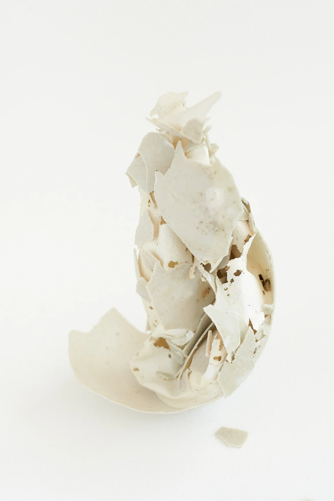 Eggshell_0058.jpg