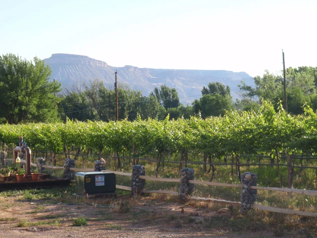 farm6230261.jpg