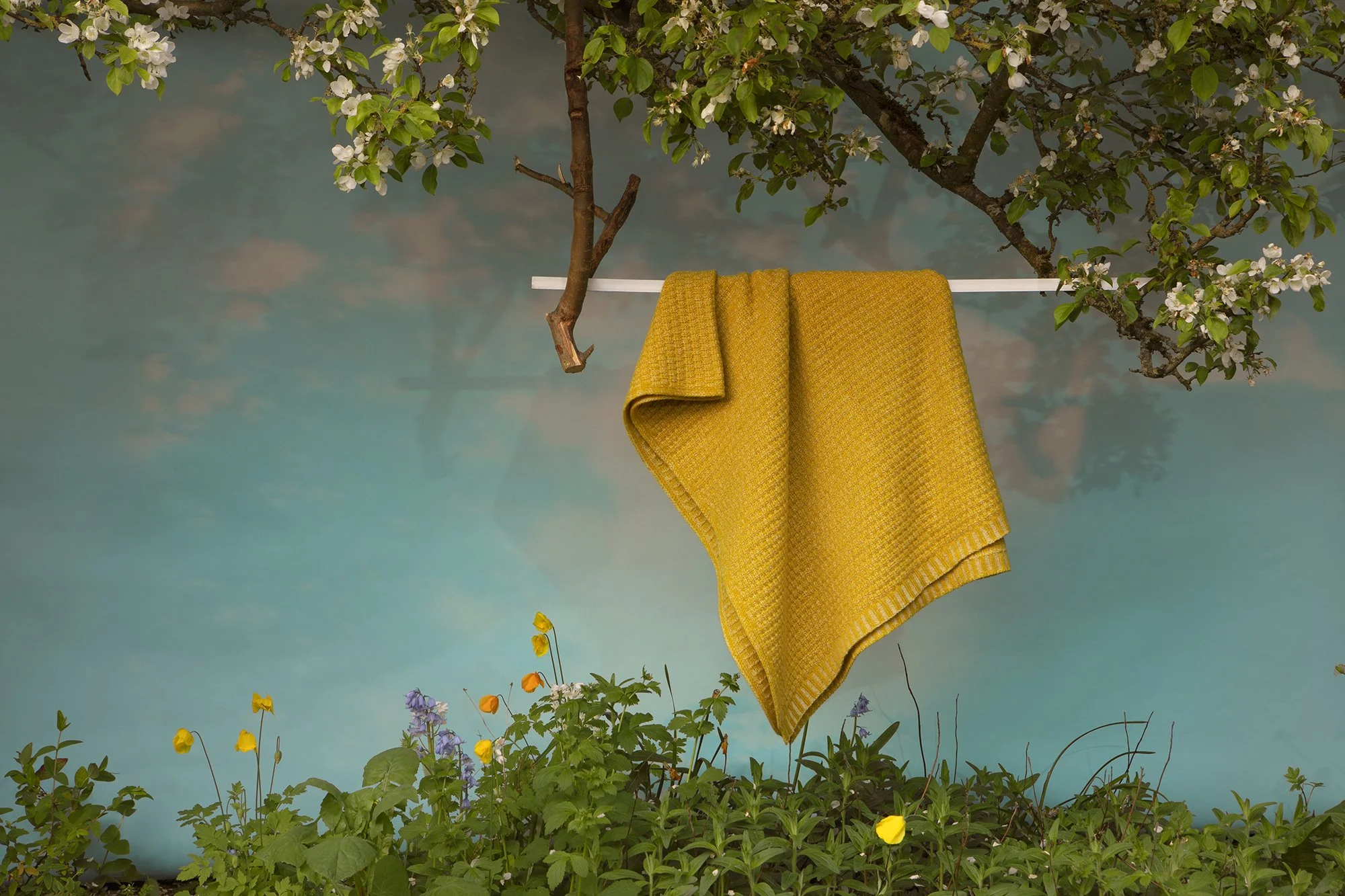 Final_2J8A4849 copy.jpg