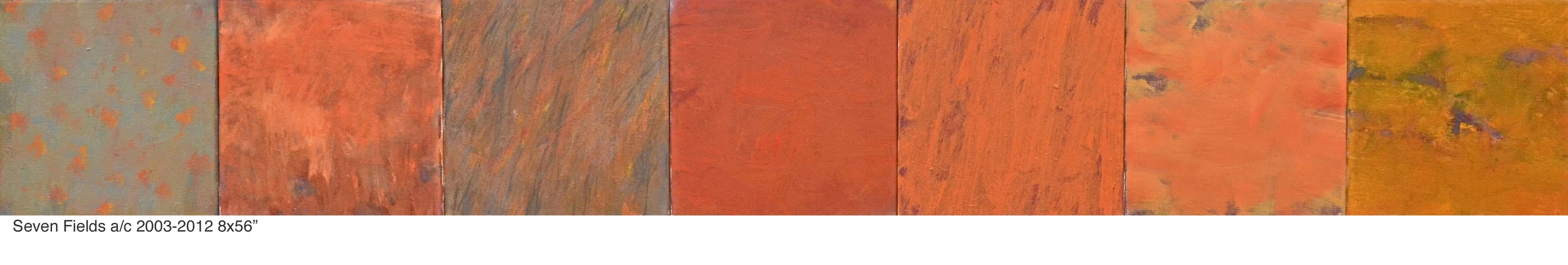 Seven Fields a/c 2003-2012 8x56"