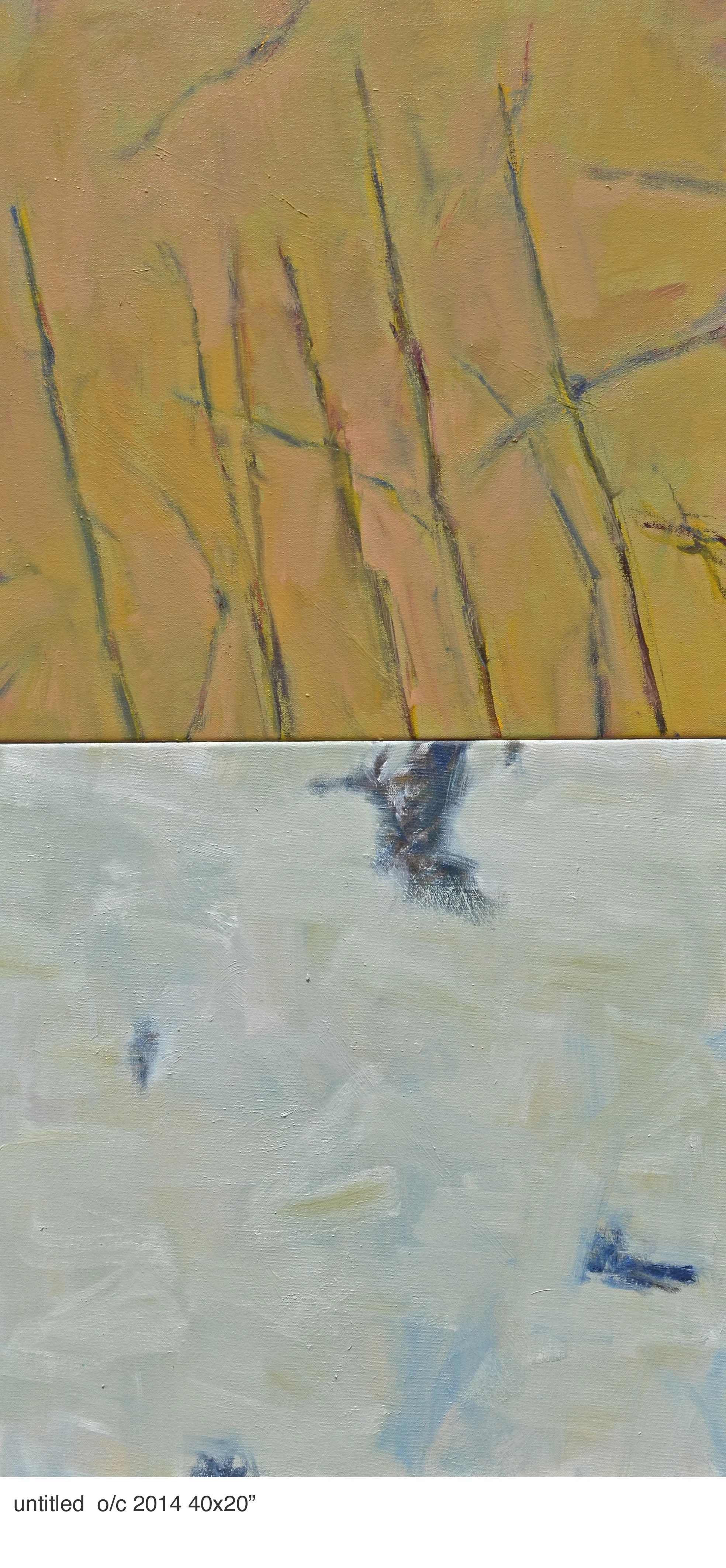 Untitled o/c 2014 40x20"