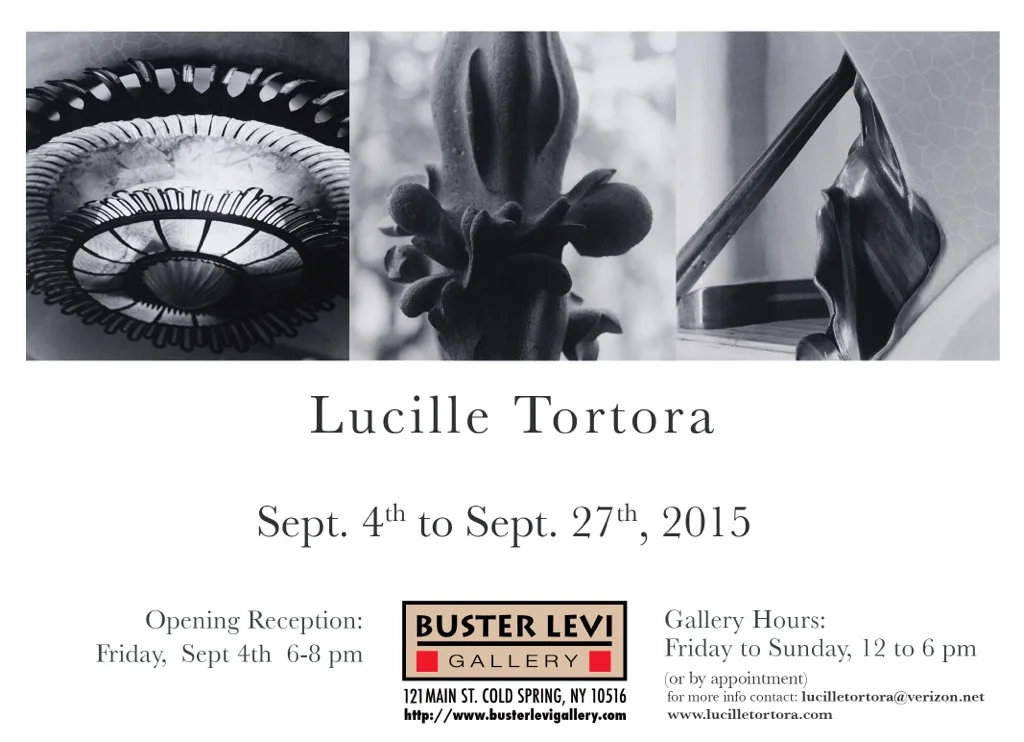 EBLAST_ Lucille.jpeg