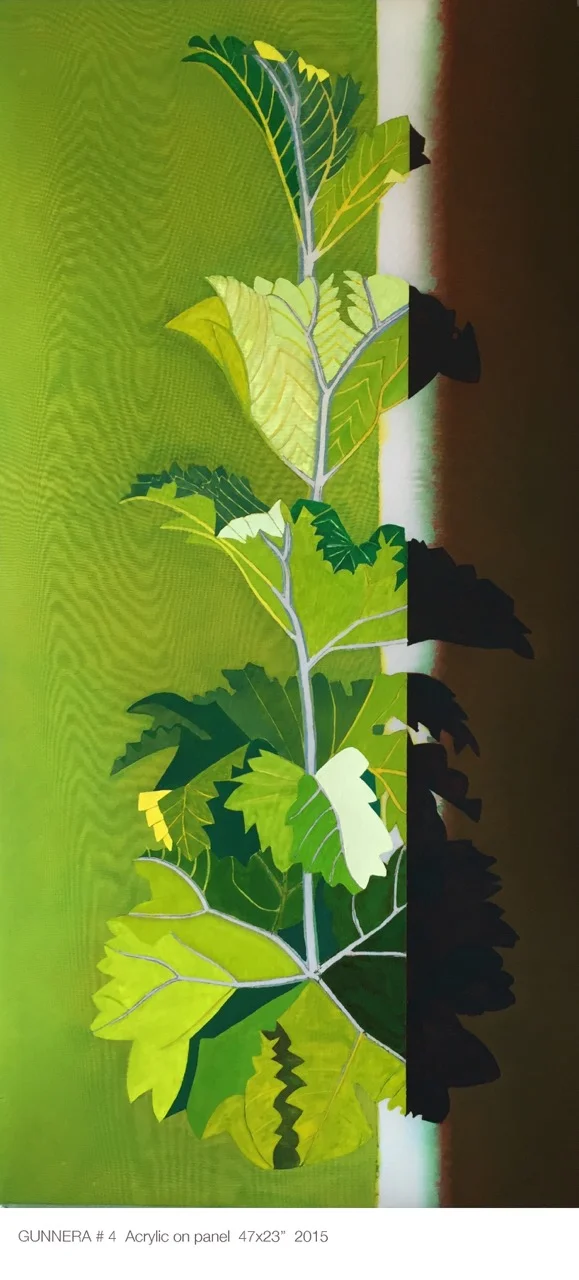 Gunnera4w.jpeg