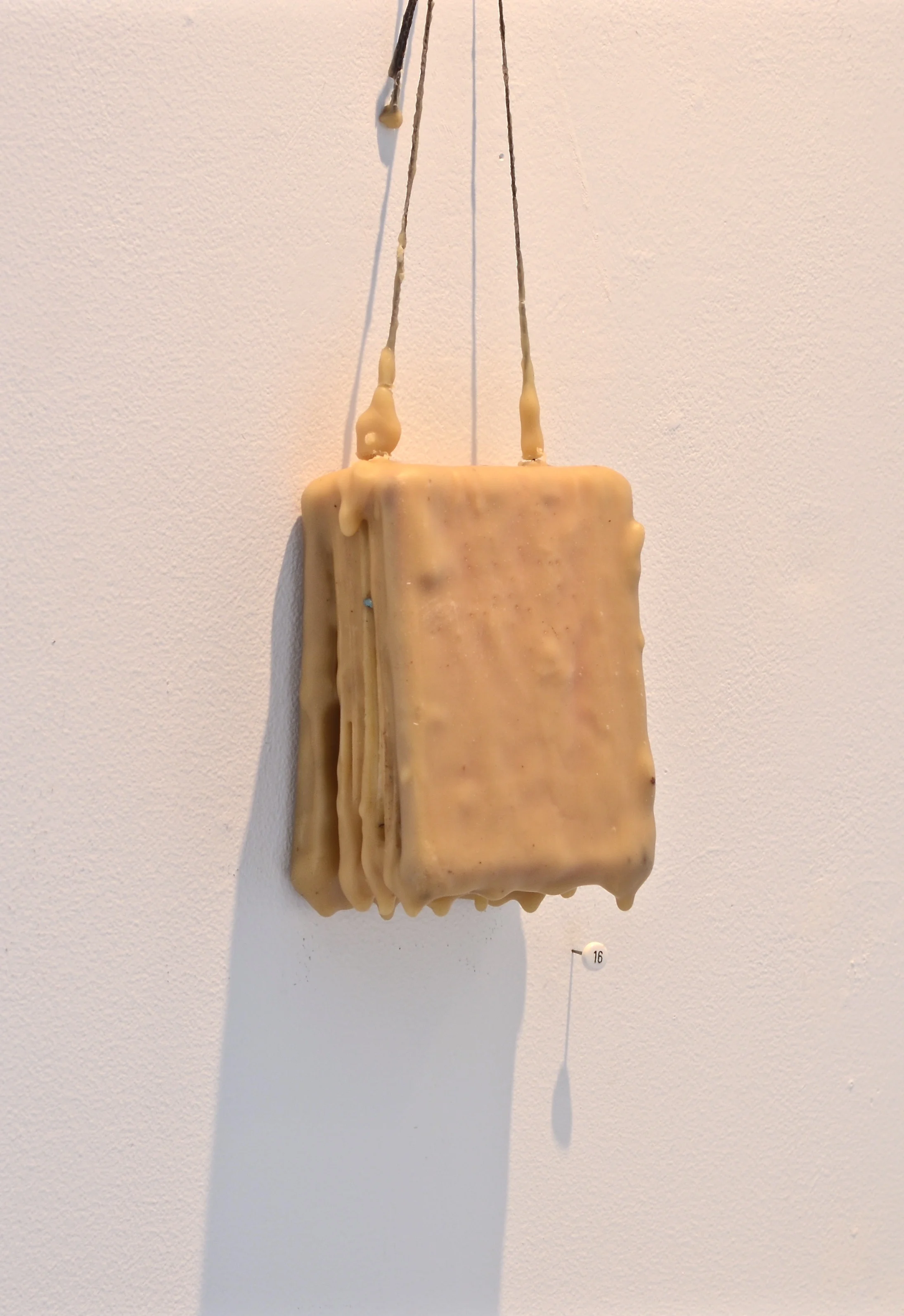 DSC_0324.jpg