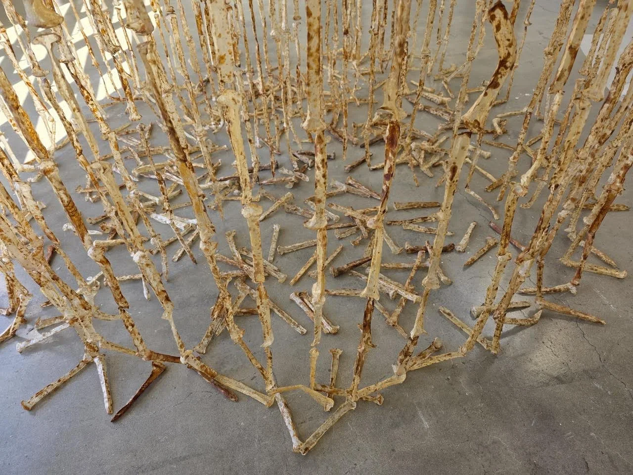Ossuarydetail.jpg