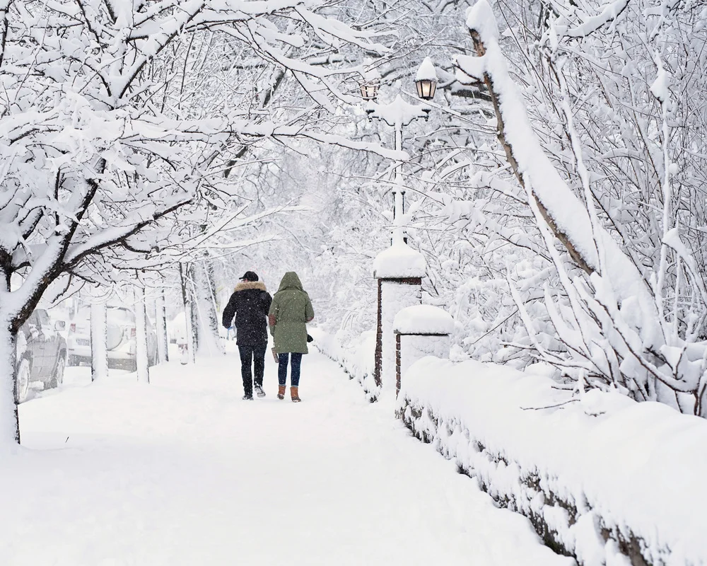 snowstroll.jpg