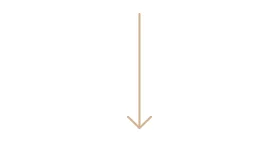 arrow.jpg