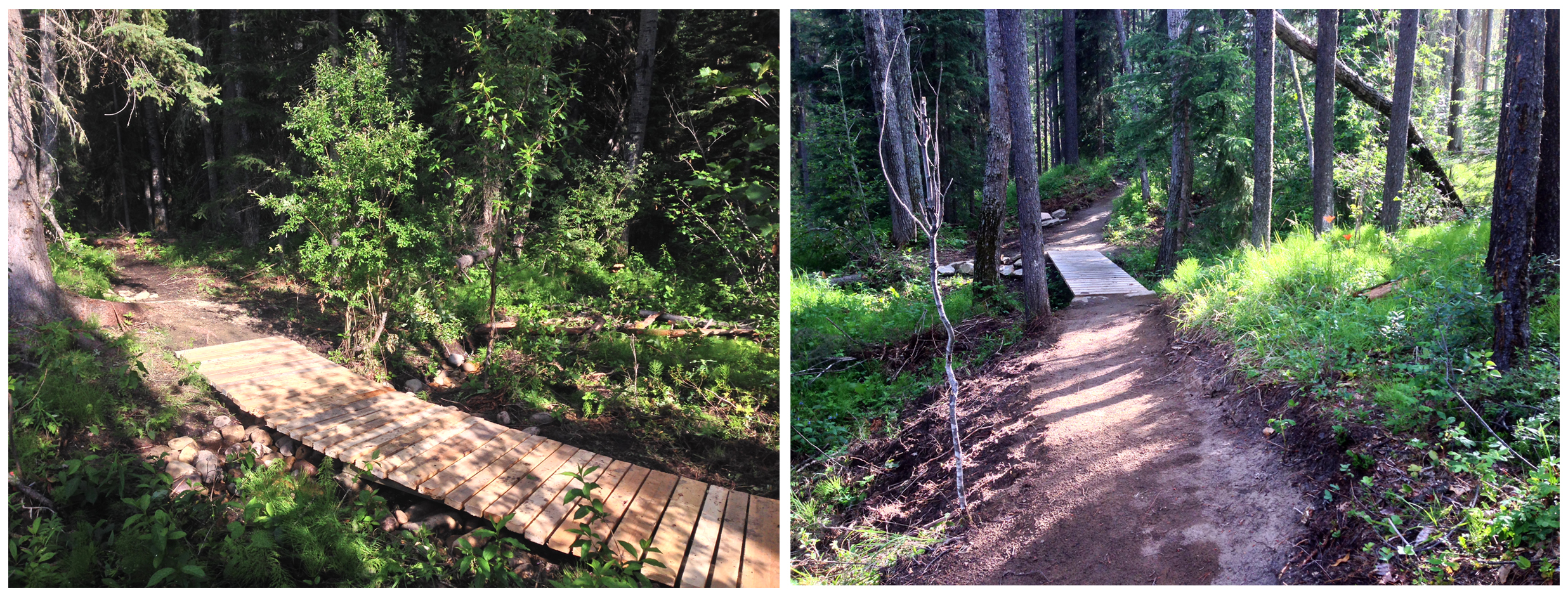Overflow trail highlights.