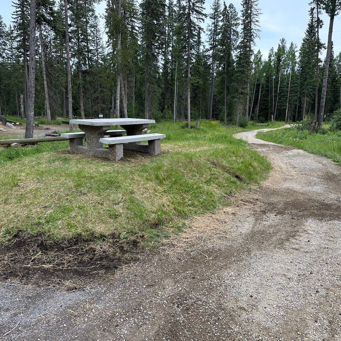 With some heavy lifting and delivery help from Ryland, Mike, and Trevor (Ry-Lynn Specialties Ltd) we beefed up the picnic table situation in the bike park tonight. If you have suggestions on where in the park the wooden ones should go, put it in th