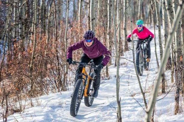 Get those fat bikes out, slap some chain lube on that rusty chain, fill up your favourite thermos with your favourite beverage and hit the trails at Willmore Park. 

The west end trails are in perfect condition for a lunch ride or evening rip. Don&rs