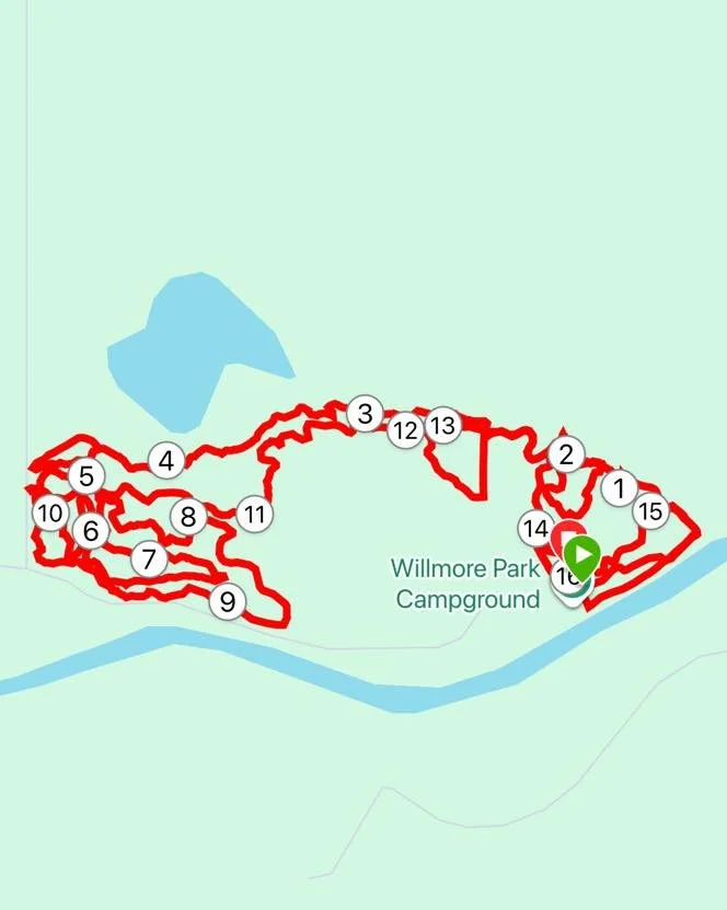 The Edson Cycling Associations Granted to met was out tonight for a first pass on some of your favourite trails. All the west side trails were groomed including Jabberwocky and  Snakes and Ladders. Firebreaker and Flying Squirrel also had a first pas
