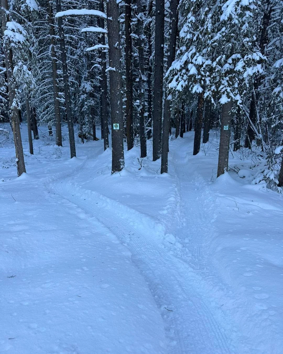 It&rsquo;s too cold for angels to fly, but not too cold for the gnomes to groom !! 
New corduroy on:
Austin&rsquo;s
North Boundary 
Snakes and ladders
The quad trail
Fire breaker ( a little rough) 
Re-Root to the quad trail. 
East accessibility 
Stin