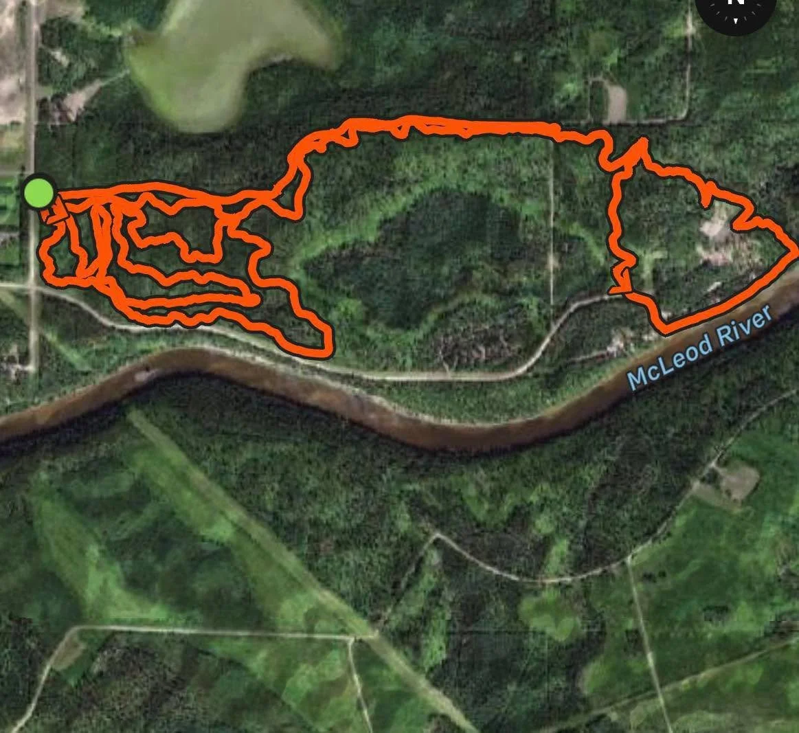 Trail report: 1/20/26
Trails are hard, and quite icy; tire studs recommended 
Austin&rsquo;s, SnL, Firebreaker, Re-Root, Stinger are good. 
The quad trail and Flying Squirrel are fair- a bit rougher and a couple trees down on these one yet. 
🤟🏼
Ian