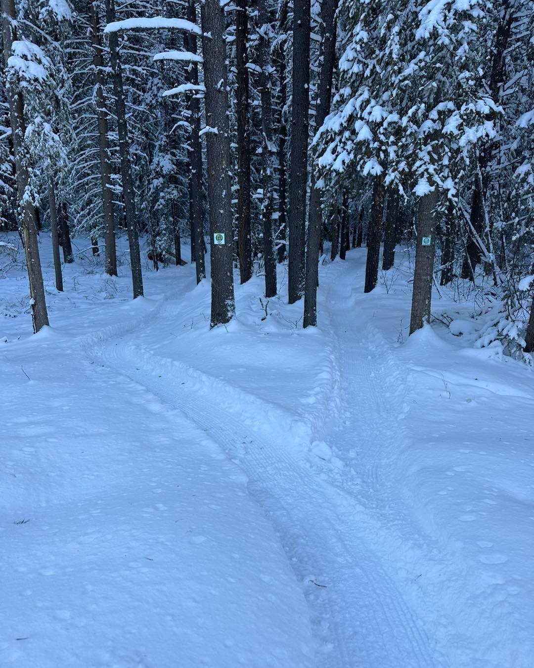 It&rsquo;s too cold for angels to fly, but not too cold for the gnomes to groom !! 
New corduroy on:
Austin&rsquo;s
North Boundary 
Snakes and ladders
The quad trail
Fire breaker ( a little rough) 
Re-Root to the quad trail. 
East accessibility 
Stin