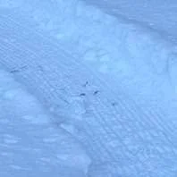 Trail update:  the warmer weather will really help the trails set up.  If you are sinking, back out and let it set up. 
Fresh corduroy on: 
North boundary, Greg's loop, Austin's, 🐍 and 🪜, firebreaker-reroute, raspberry stinger and a first pass on F