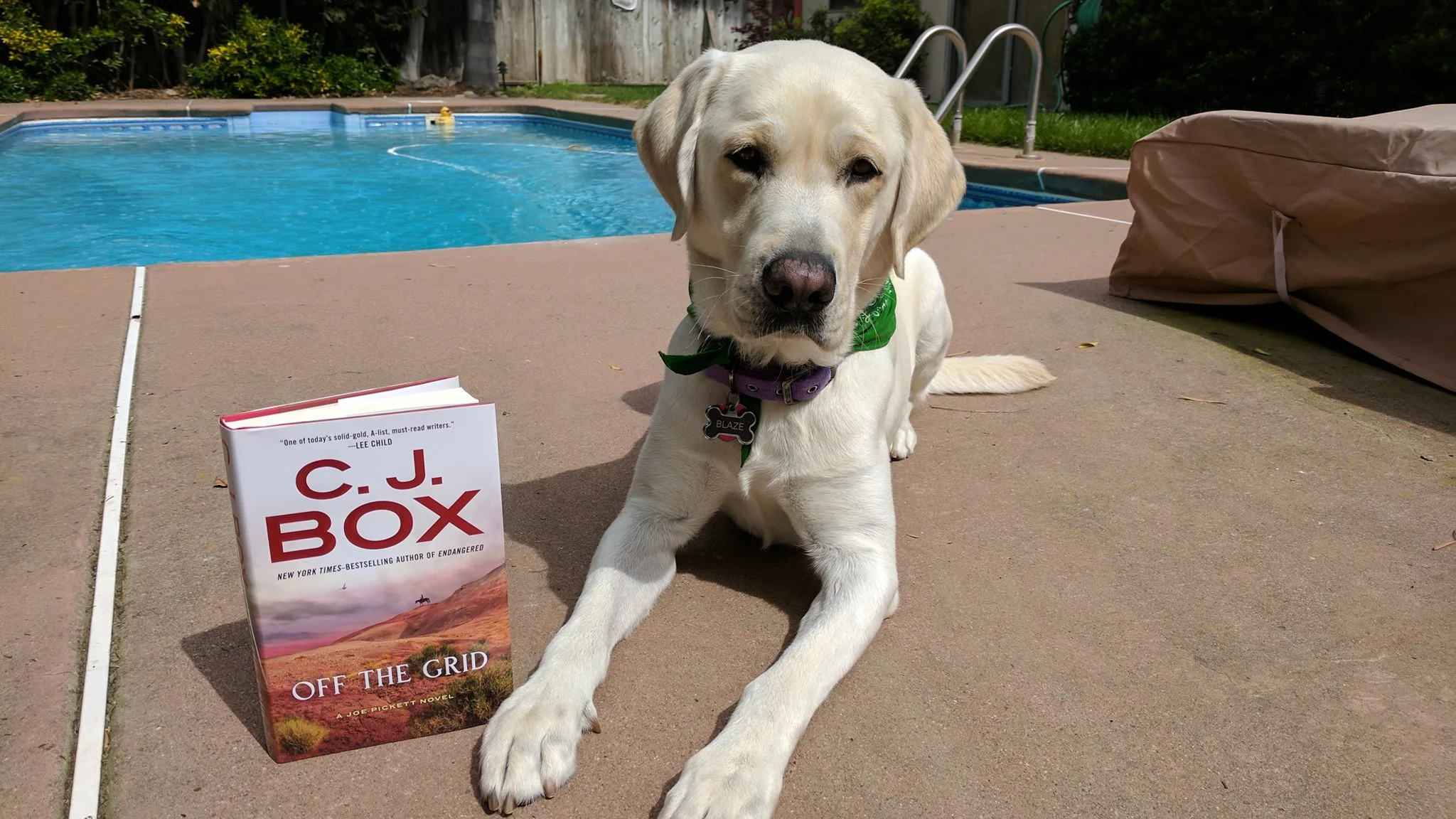 Dogs like CJ Box too!