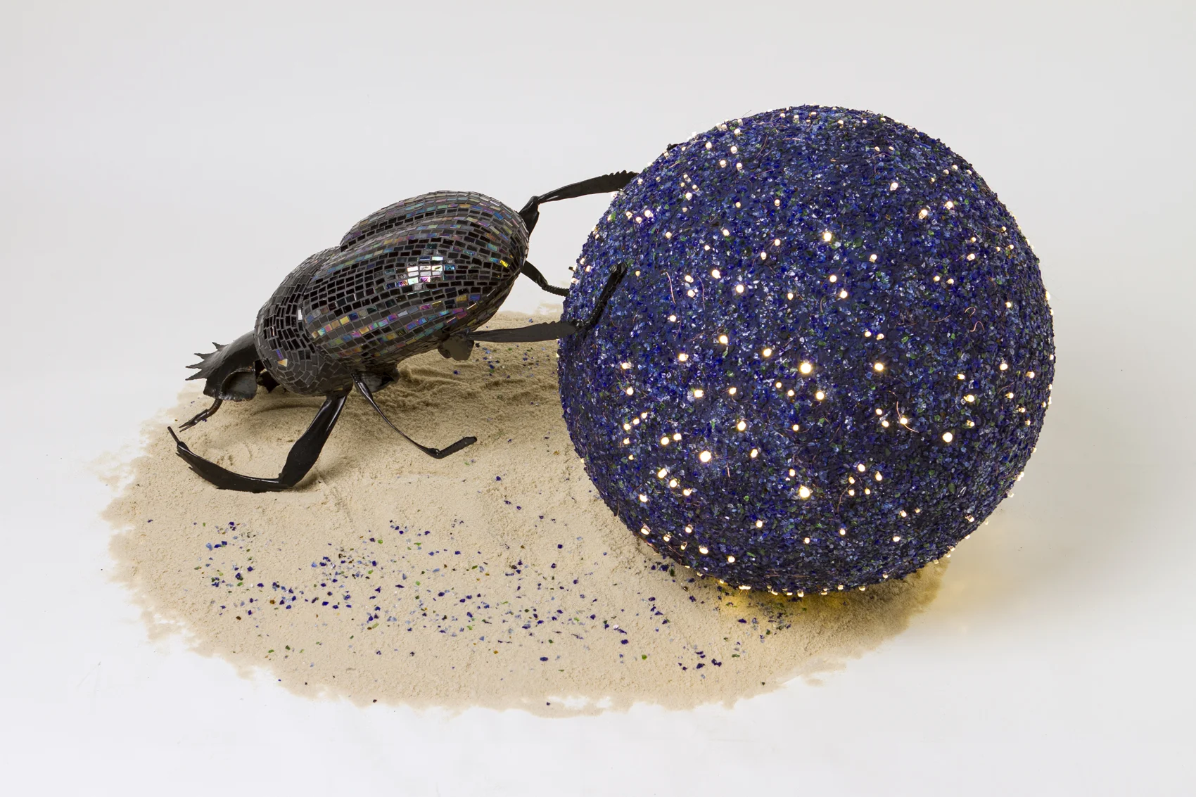 Dung Beetle Navigates by the Stars copy.jpg