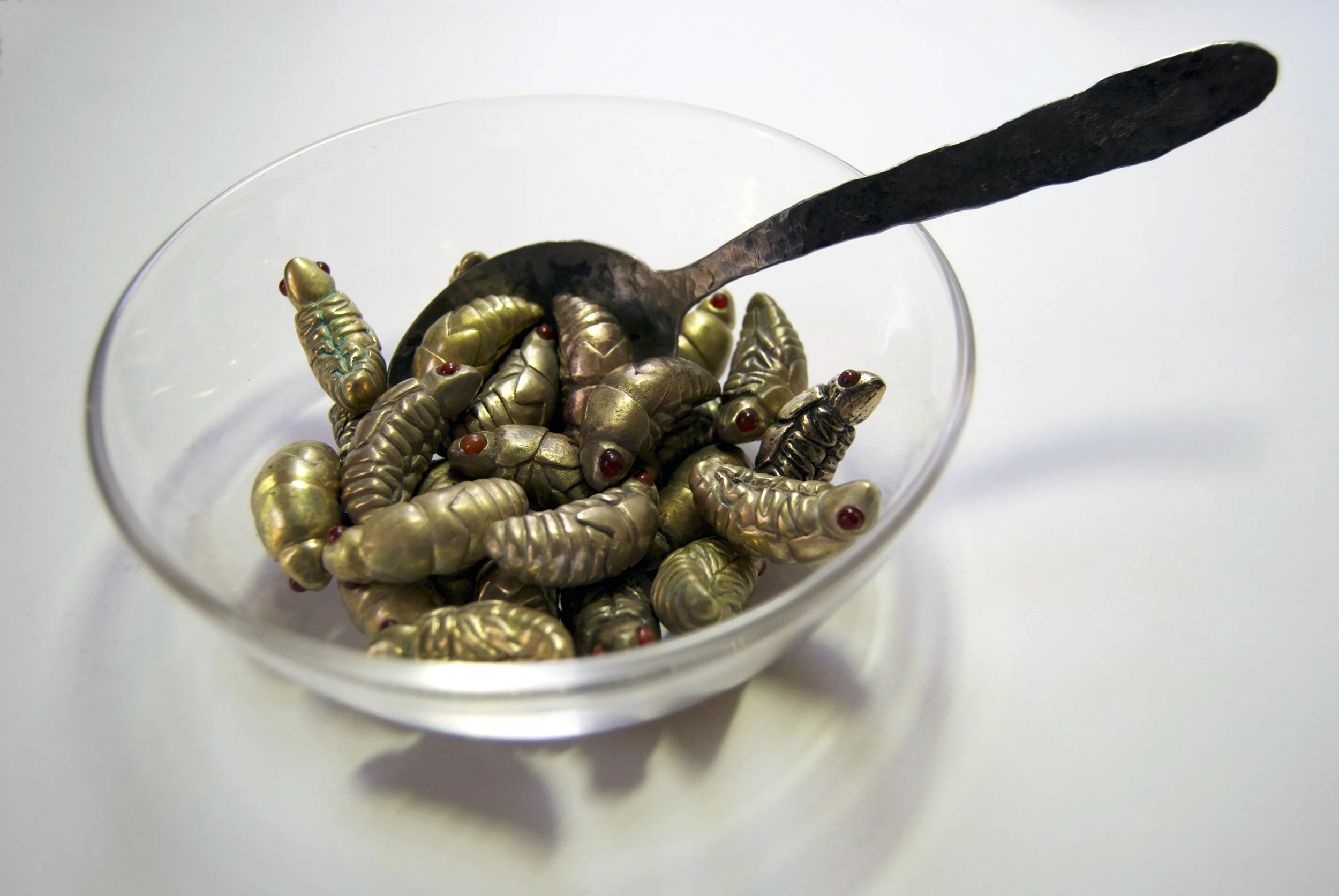 Larvae for a Better Tomorrow,2.jpg