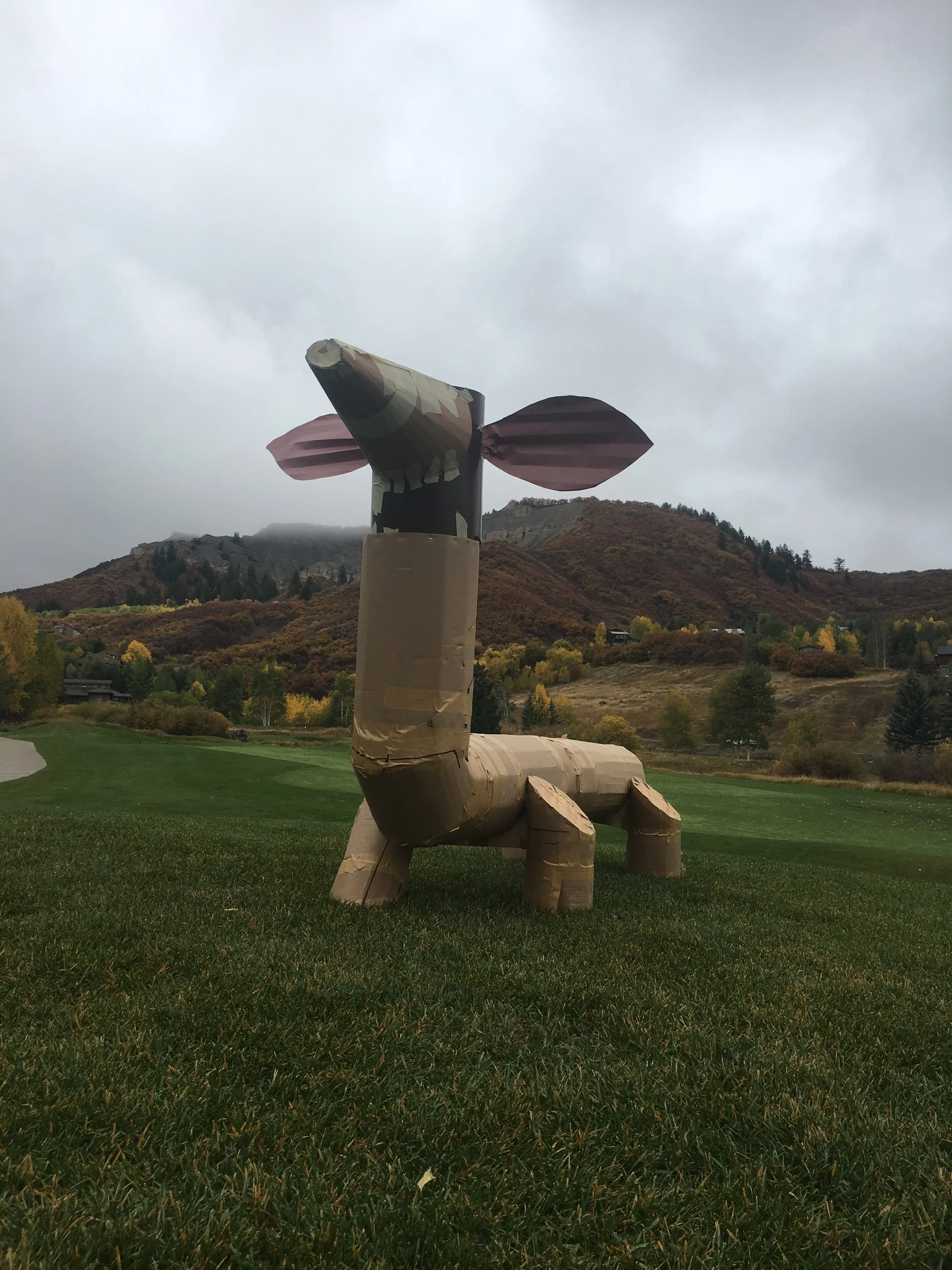 Cardboard mock-up out on the Snowmass golf course