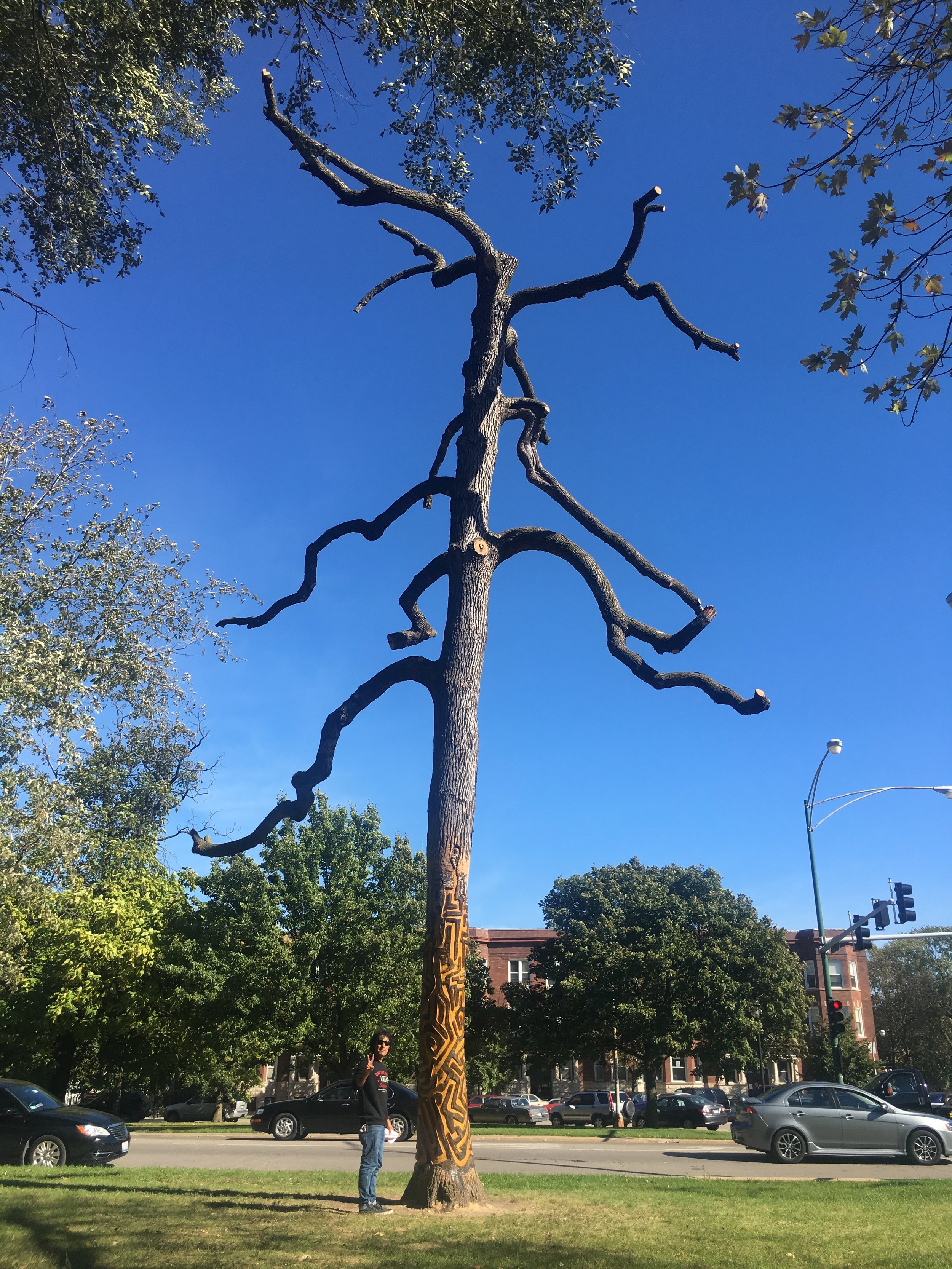 Tree with Danile Rojas.jpg