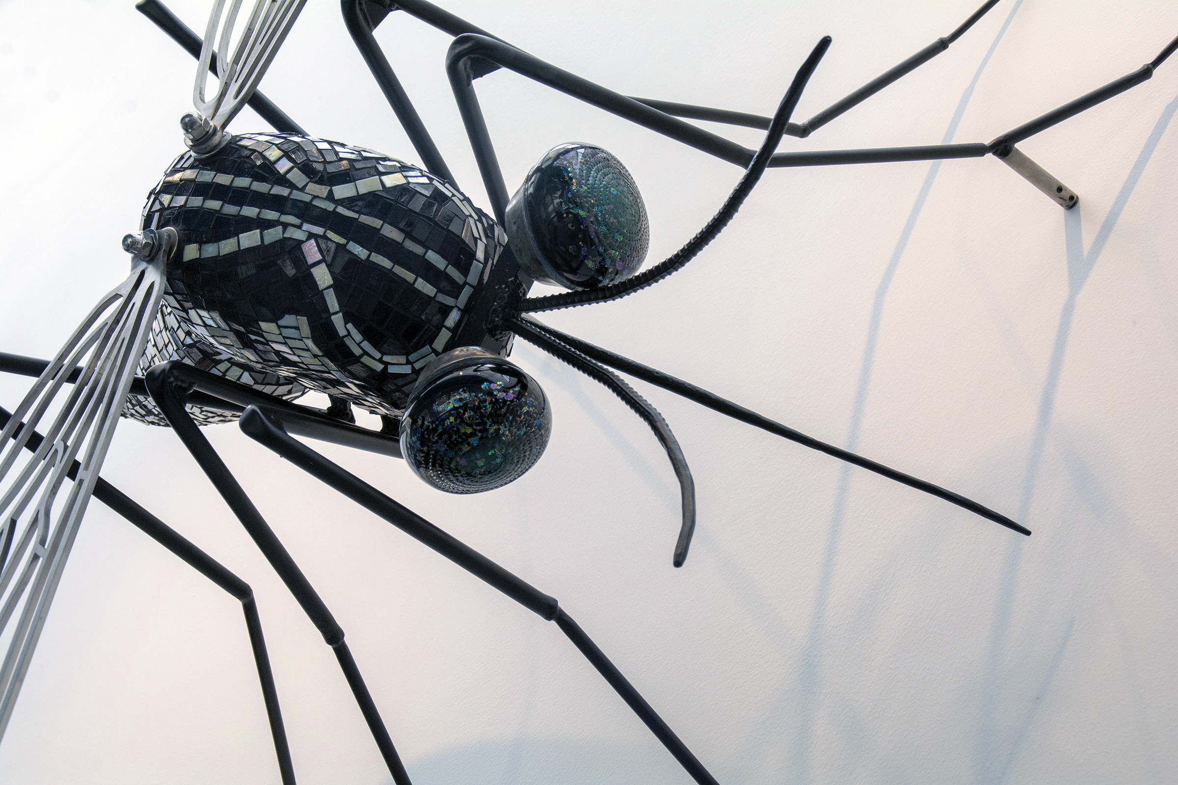 Black Mosquito.jpg