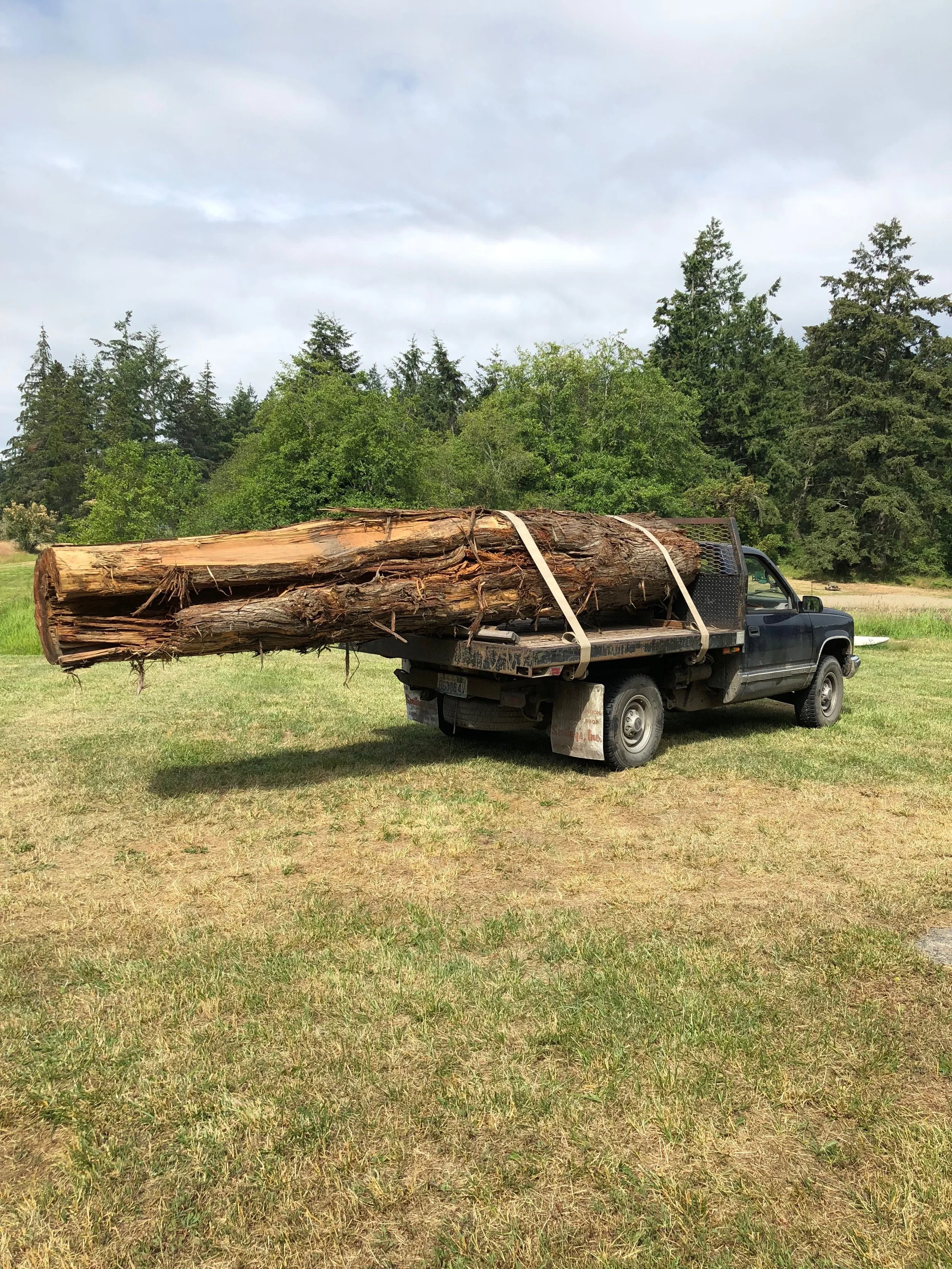The red cedar tree trunk arrives to the site.