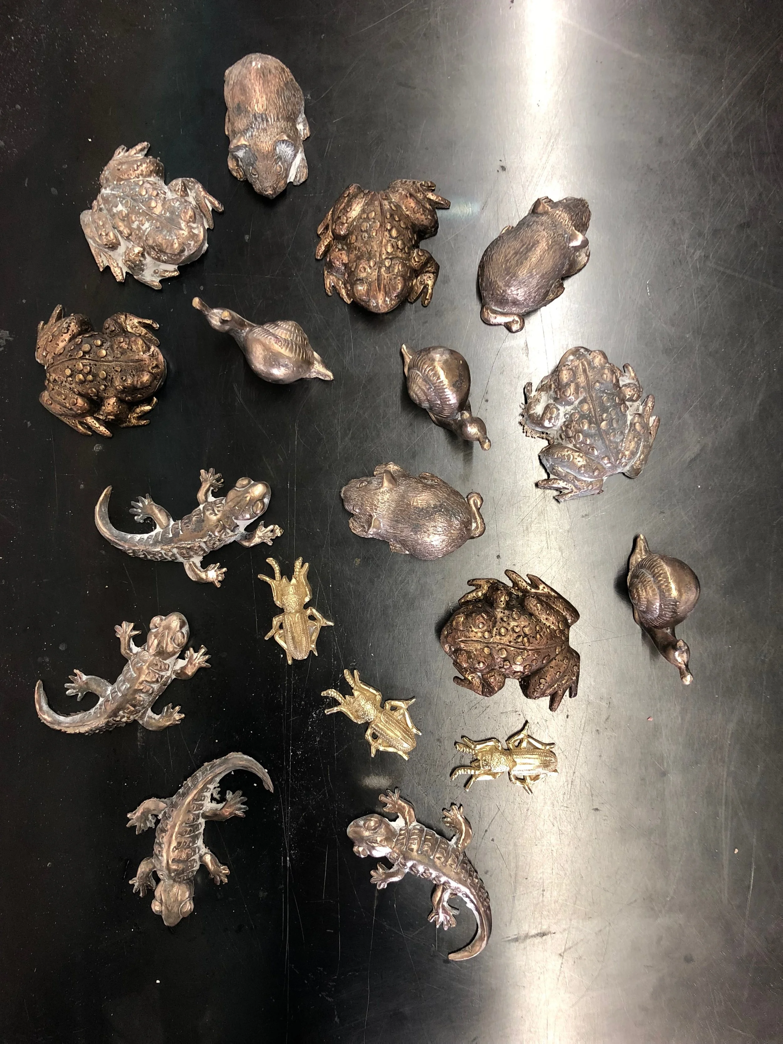 Bronze creatures to be installed on the fence/rails. Osmoid beetle, Townsend's Vole, Western Toad and Western Salamander, yet to be added, Garter Snake and Western Pond Turtle