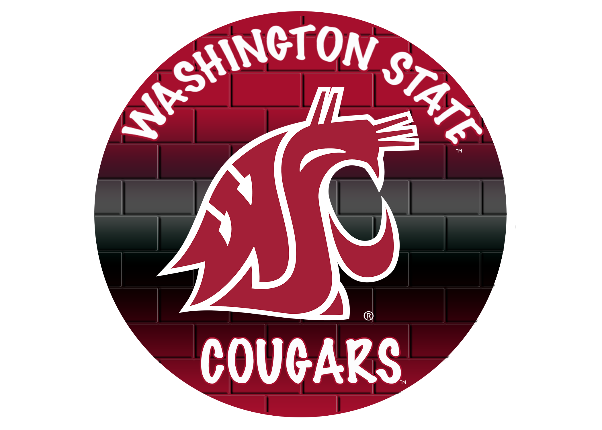 PTS WSU Circle Logo.png