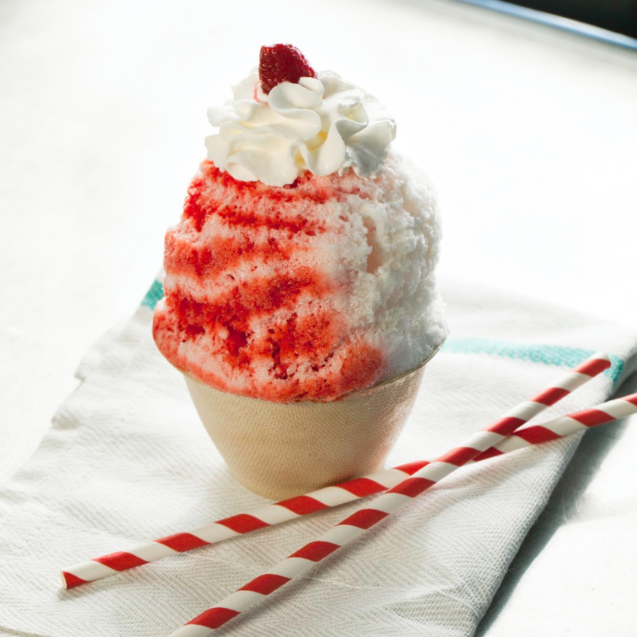 Retro Sno