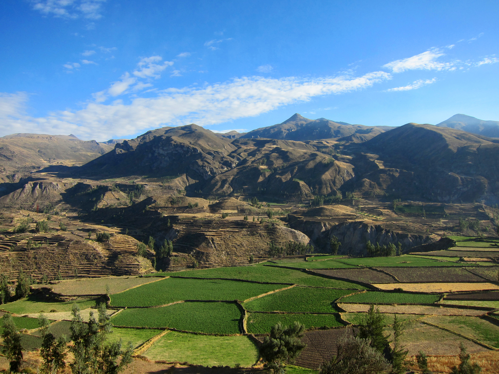 Farming terraces in the Colca Valley near Cusco Peru