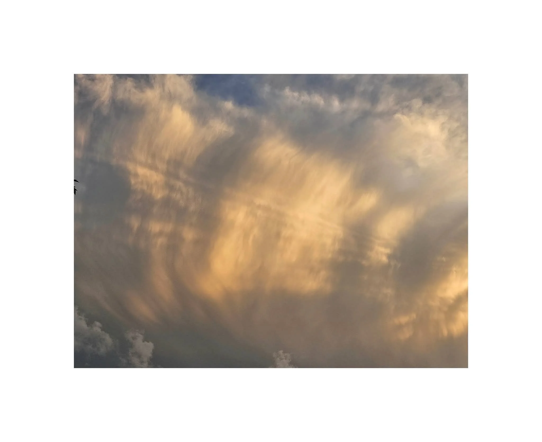 fleeting 11