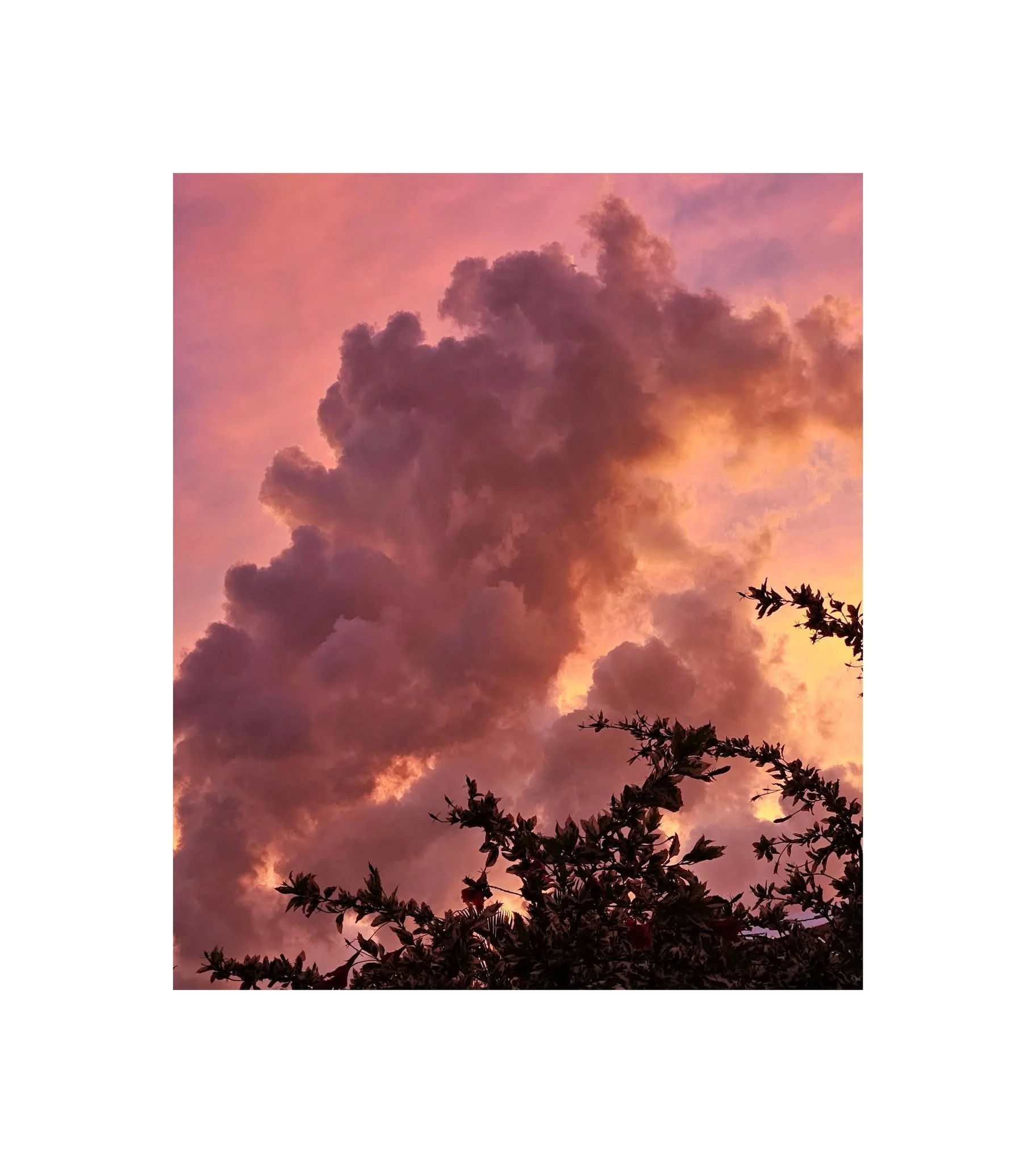 fleeting 13
