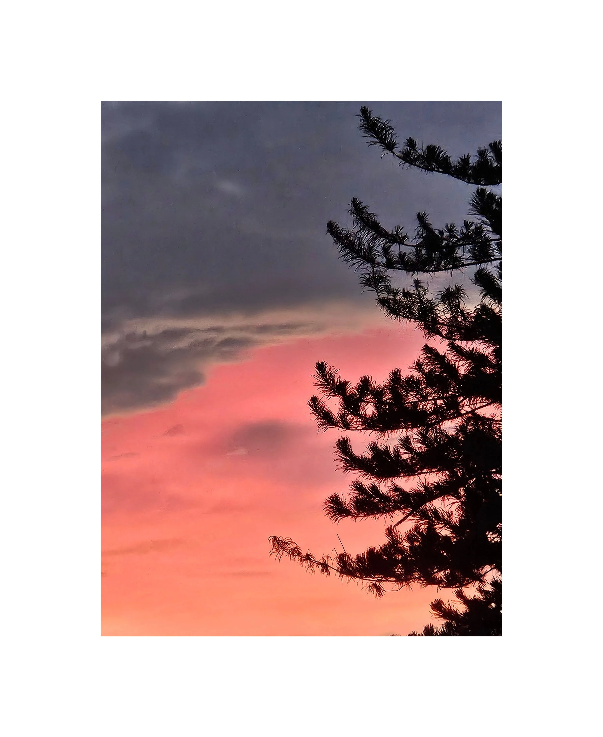 fleeting 15