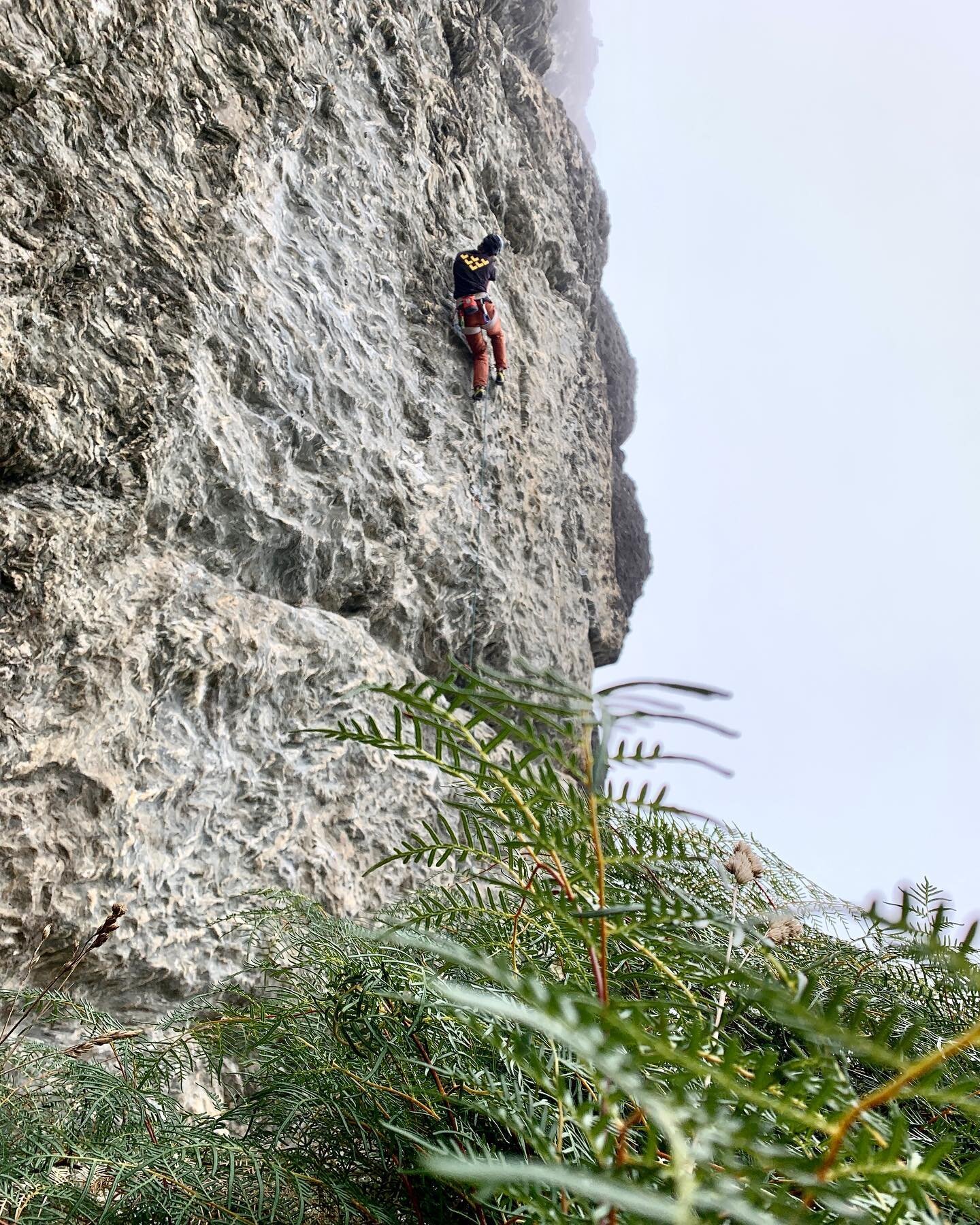 Who&rsquo;s getting out on these Autumn days? Some great climbs to be had on the sunny aspects! Get after it 🤟 

&bull;
&bull;
&bull;

#queenstownclimbingclub #climbing #conservation #queenstown #rockclimbing #alpineclimbing #queenstownlive #climbin