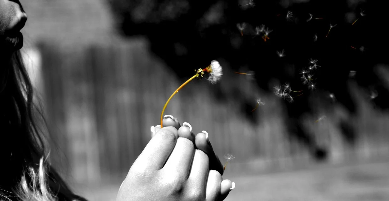 make_a_wish__dandelion_by_kattiieet-d4no4nz.jpg