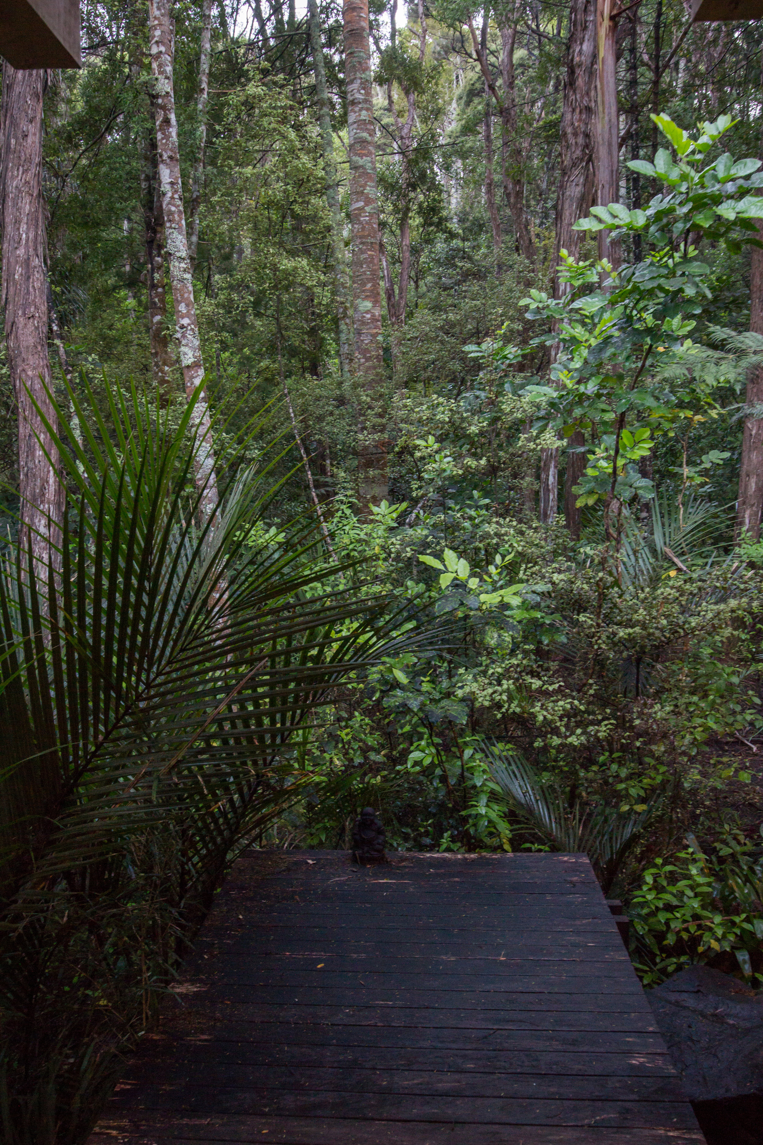 NewZealand-8161.jpg