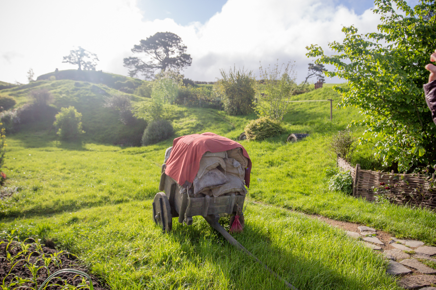 NewZealand-8202.jpg